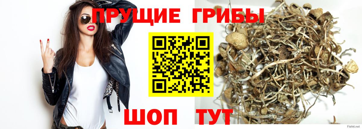 Галлюциногенные грибы Magic Shrooms Славгород