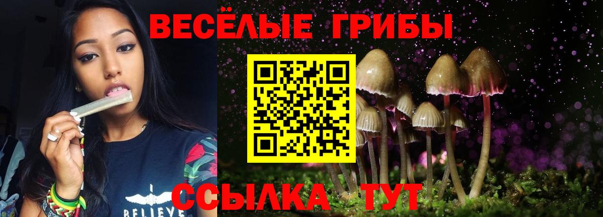 Псилоцибиновые грибы Cubensis  Вход с VPN  Славгород  цена наркотик  Псилоцибиновые грибы мицелий 